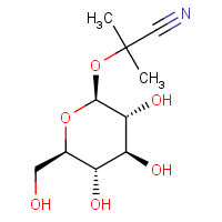 Glycosidedb