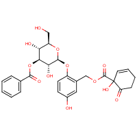 Glycosidedb