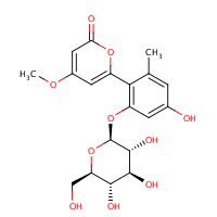 Glycosidedb